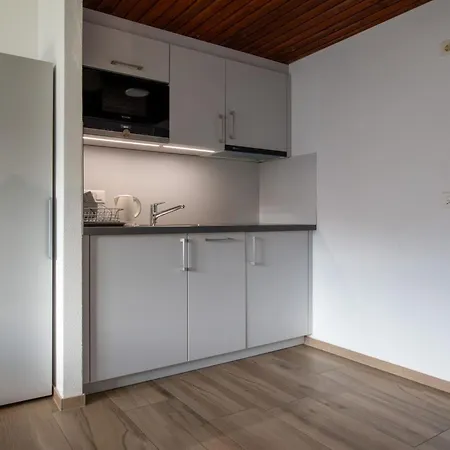 Appartamento Zurschmitten 9 2- Ug Sued Studio- Dusche- Wc 1 Zimmerwohnung- 2-betten By Interhome